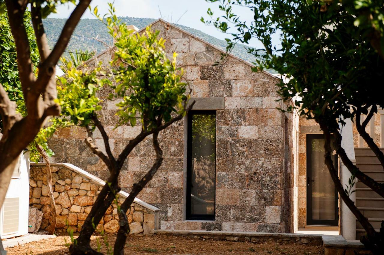 Appartement House Koloc